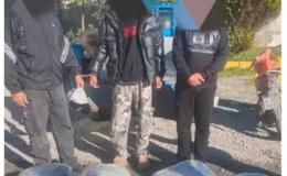کشف ۳۰ کیلوگرم مواد روان&zwnj;گردان گل در محمودآباد