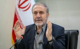 ذوالفقاری: هیچ بحثی درباره کشت خشخاش در ستاد مبارزه با موادمخدر وجود ندارد