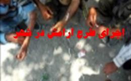 بازداشت ۲۳۳ متهم مواد مخدر در اجرای طرح &laquo;آرامش ۲۳&raquo; در استان مرکزی