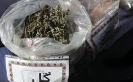 کشف ۷ کیلوگرم &laquo;گُل&raquo; و دستگیری ۲ قاچاقچی موادمخدر در قم