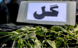 کشف یک تن ماده مخدر &laquo;گل&raquo; در اسدآباد