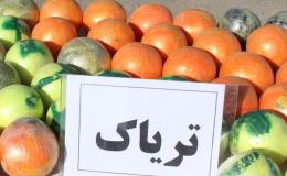 کشف محموله تریاک در &laquo;قاین&raquo;