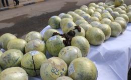 کشف مواد افیونی توسط مرزبانان هنگ تایباد