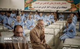 شرط موفقیت در درمان اعتیاد؛ عبور درمانگر از فضای آکادمیک و ورود به میدان است