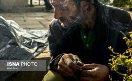 مقابله جدی با کشت خشخاش در خوزستان