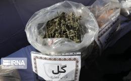 کشف ۳۸ کیلوگرم ماده مخدر گل توسط گمرک آستارا