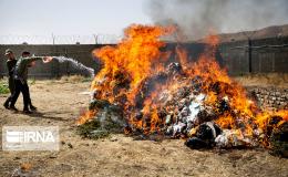 یکهزارو ۲۰۰ کیلوگرم مواد مخدر در لرستان امحا شد