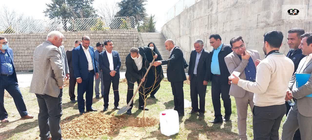 کاشت 15 اصله درخت با همکاری سمن های مبارزه با موادمخدر در کهگیلویه و بویراحمد