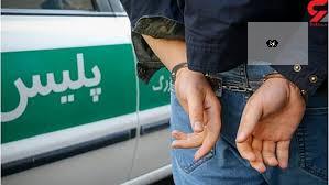 دستگیری 32 توزیع کننده مواد مخدر در طرح امنیت محله محور پلیس