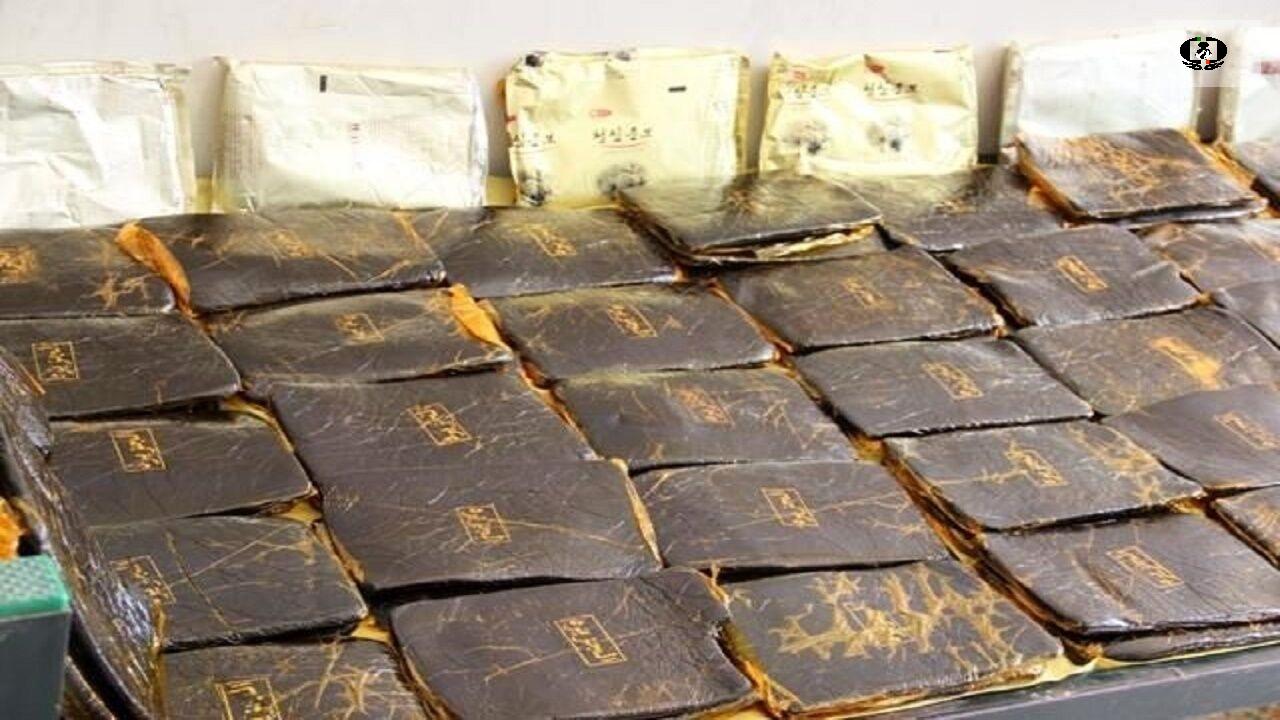 توقیف مزدا دو کابین حامل ۸۳ کیلو حشیش در سیرجان