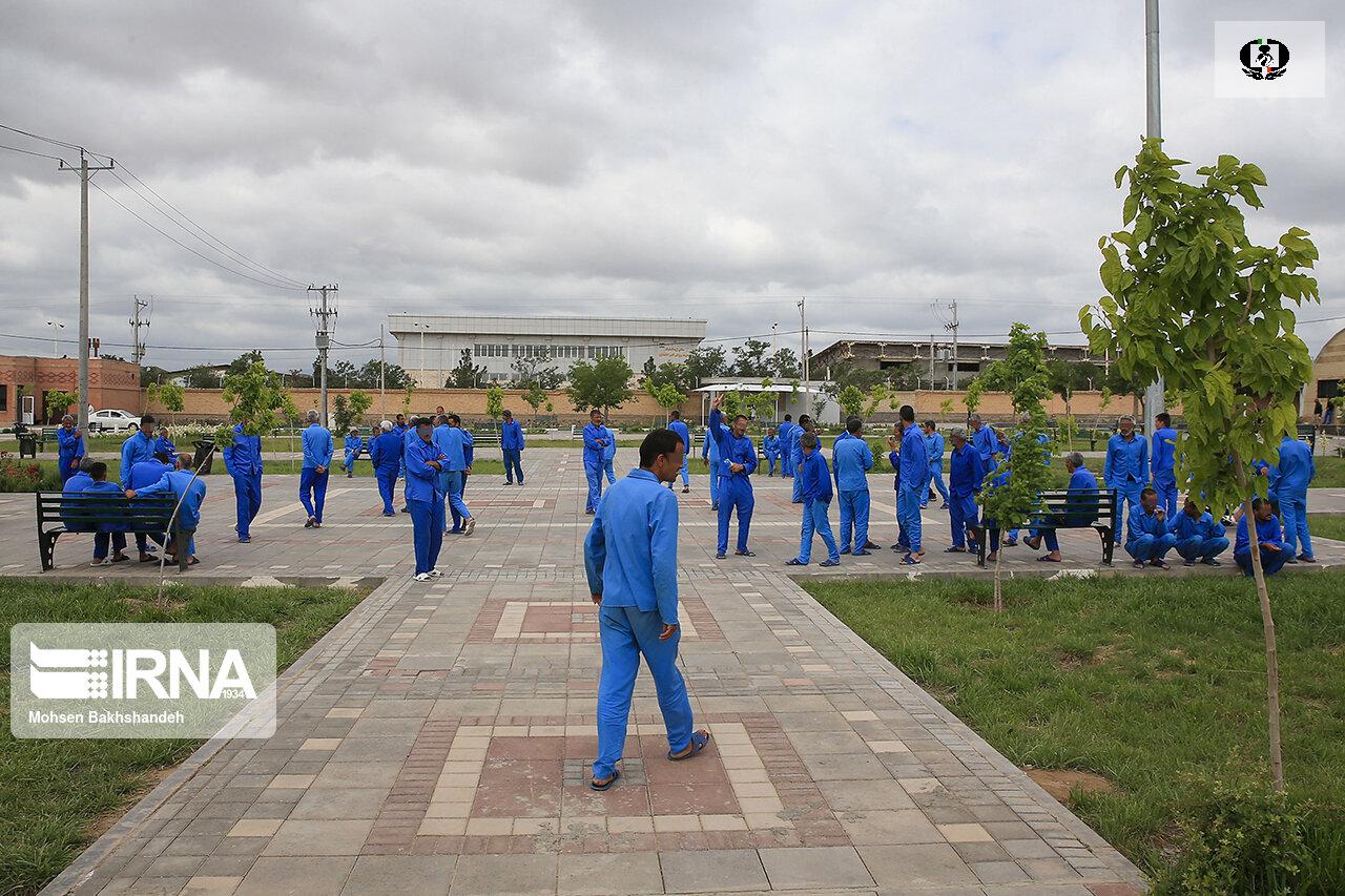 فعالیت ۳۱ مرکز توانمندسازی بهبودیافتگان اعتیاد در کشور