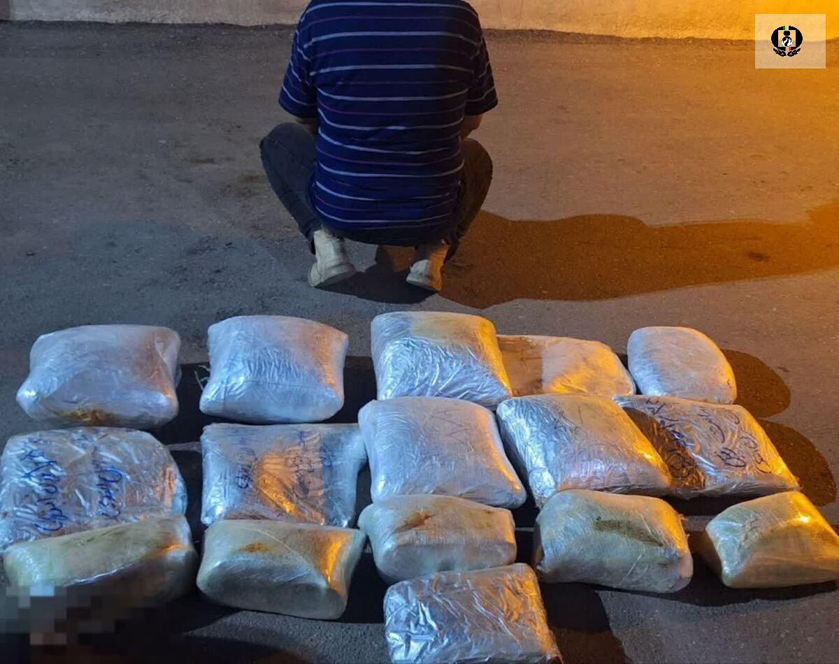 کشف ۲۵۴ کیلو تریاک در کارتن&zwnj;های خرما