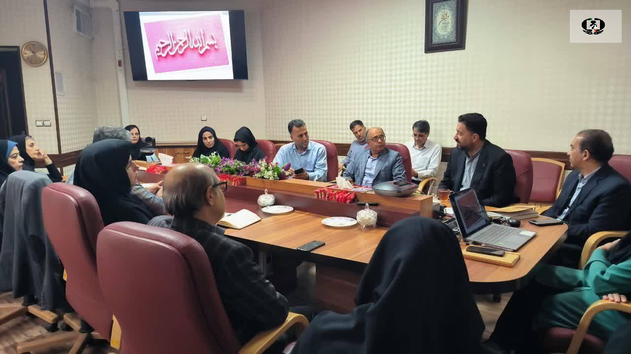 بازنگری سند سلامت روان و پیشگیری از اعتیاد استان یزد در دستور کار