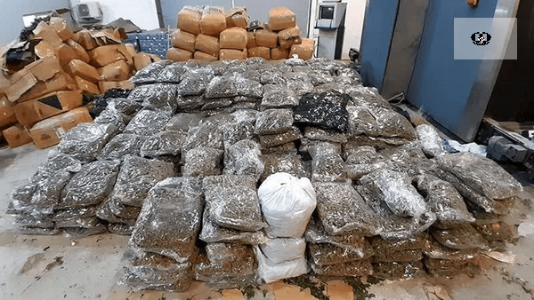 کشف ۳۴۸ کیلو تریاک در عملیات مشترک پلیس فارس و هرمزگان